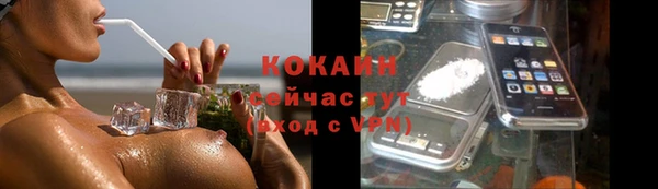 гидра Белокуриха