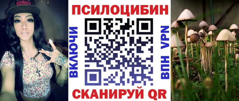 МЕГА ссылки  Медвежьегорск  мориарти телеграм  Псилоцибиновые грибы мицелий 